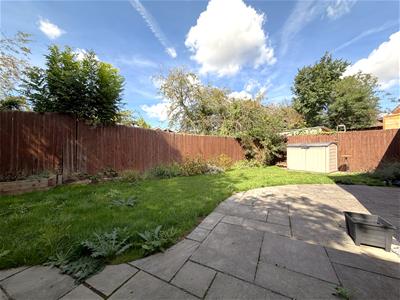 Picture 20
